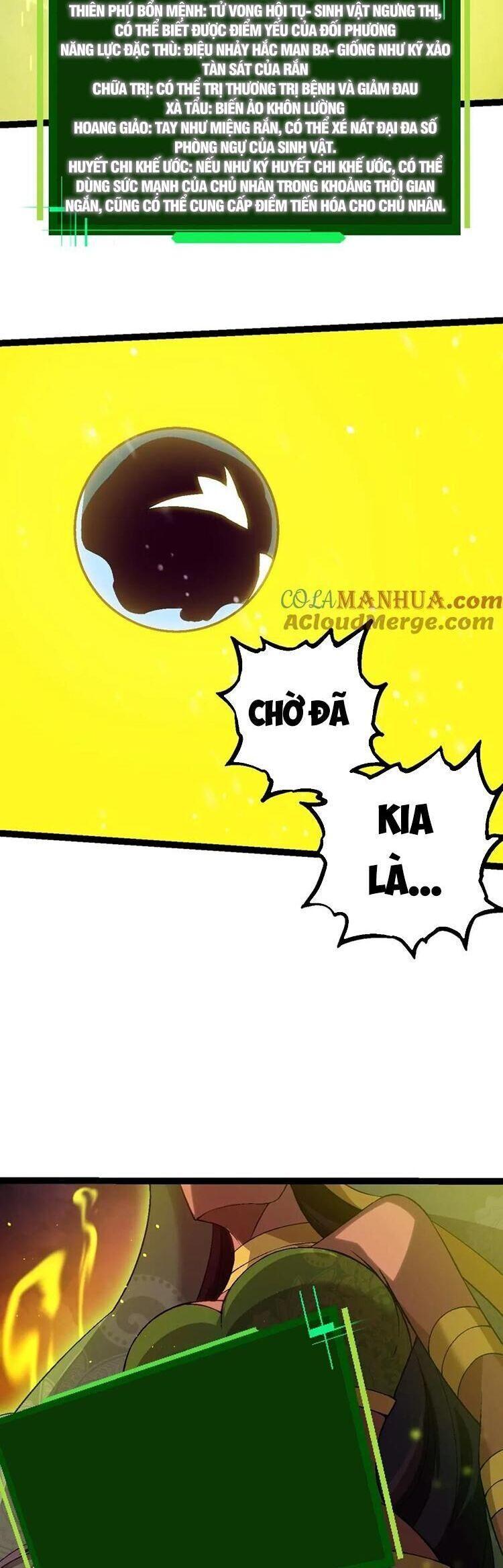 chuyển sinh thành liễu đột biến chapter 89 33