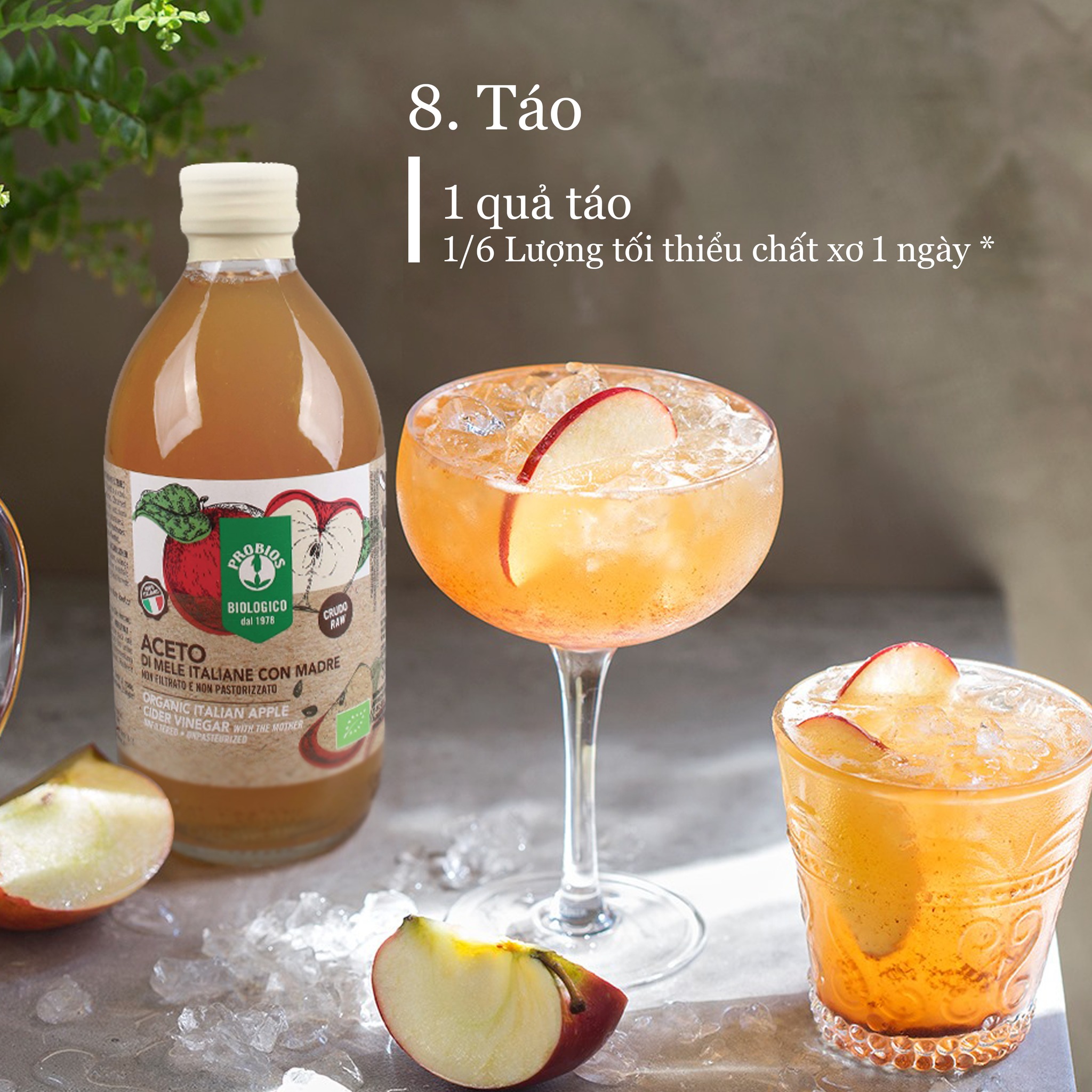 Giấm Táo Hữu Cơ Có Giấm Cái ProBios Organic Apple Cider Vinegar With The Mother