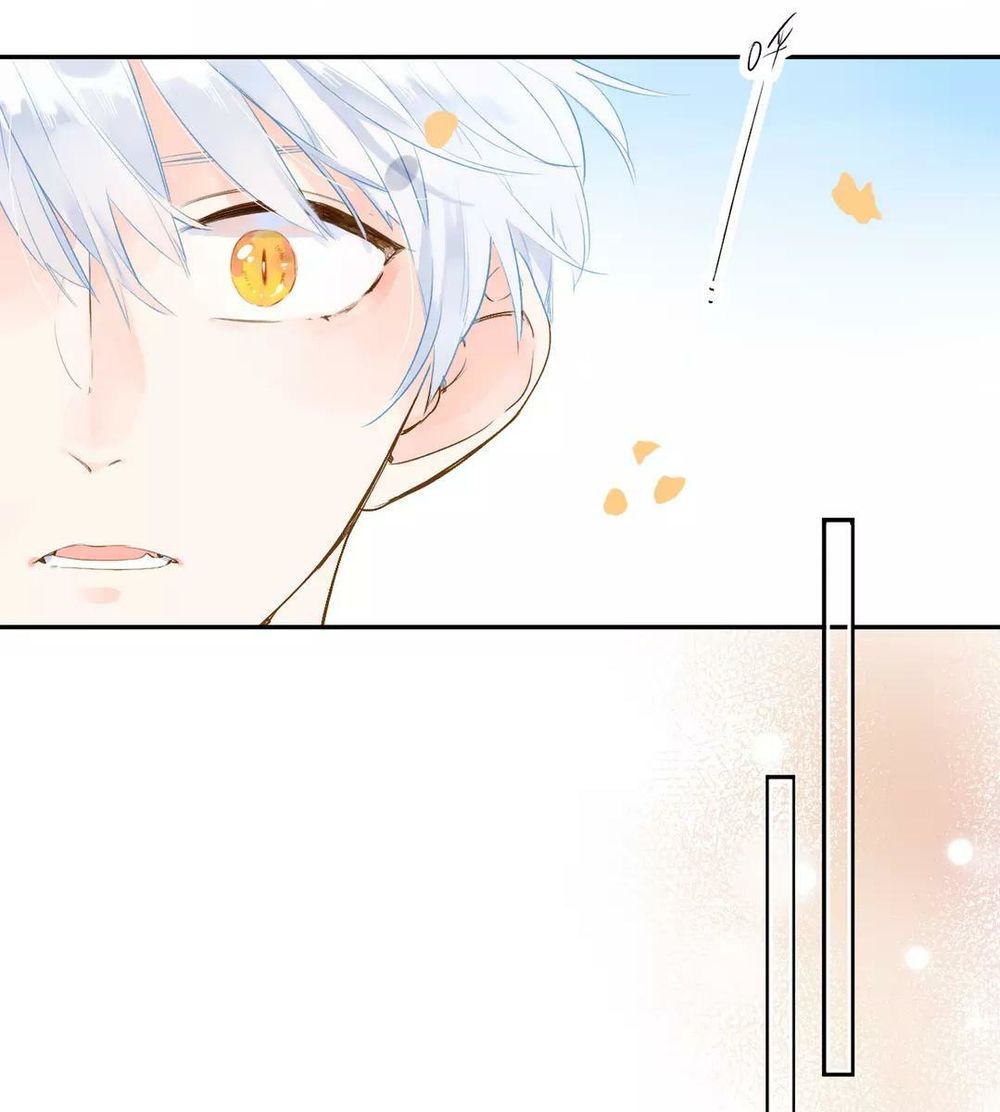 sos! tôi đã yêu một con sâu bướm (phần 2) chapter 51 51