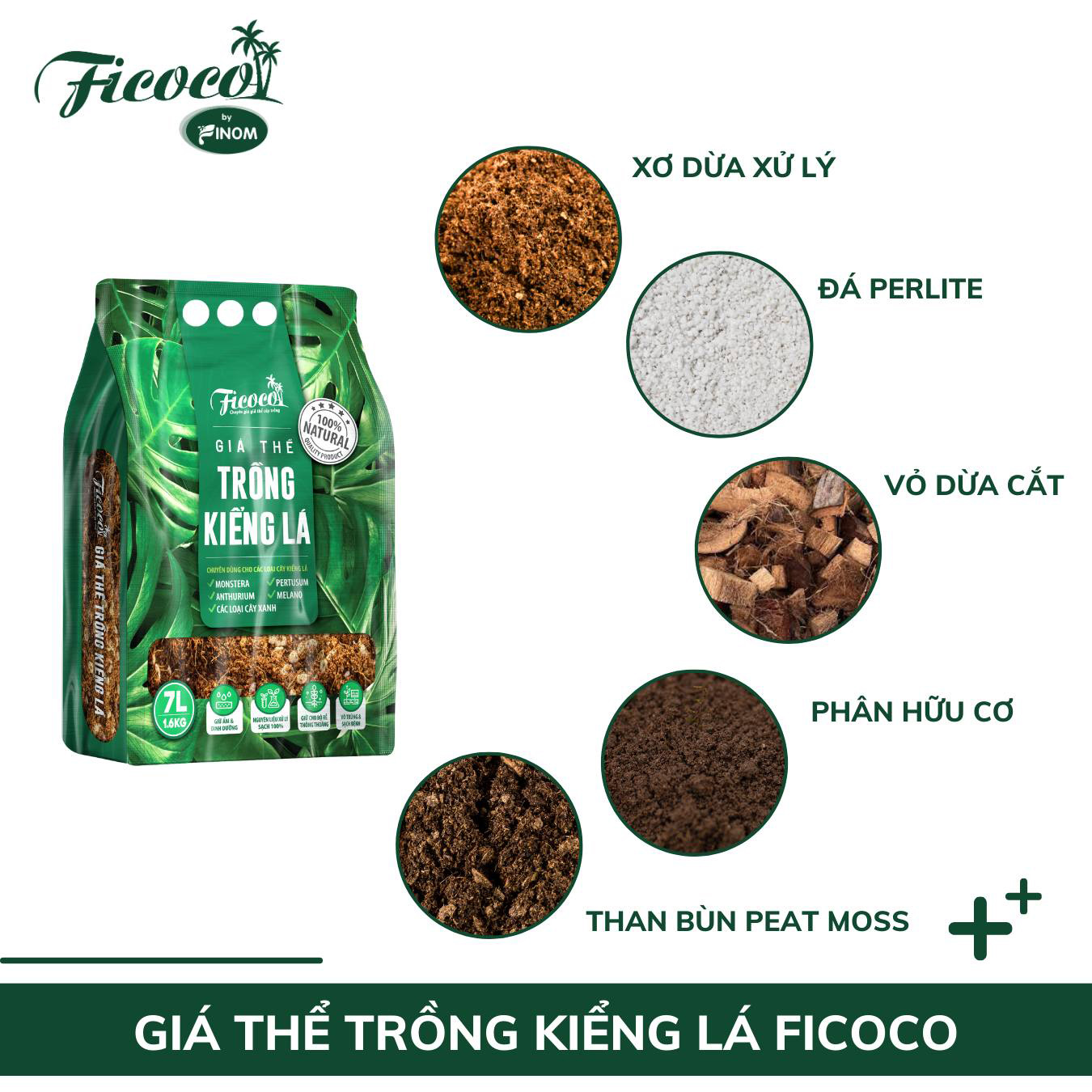 Giá Thể Trồng Kiểng Lá Cao Cấp Ficoco
