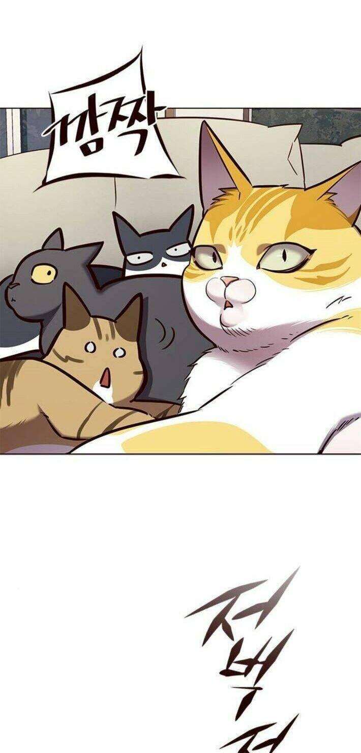 biến thân thành mèo chapter 141 59