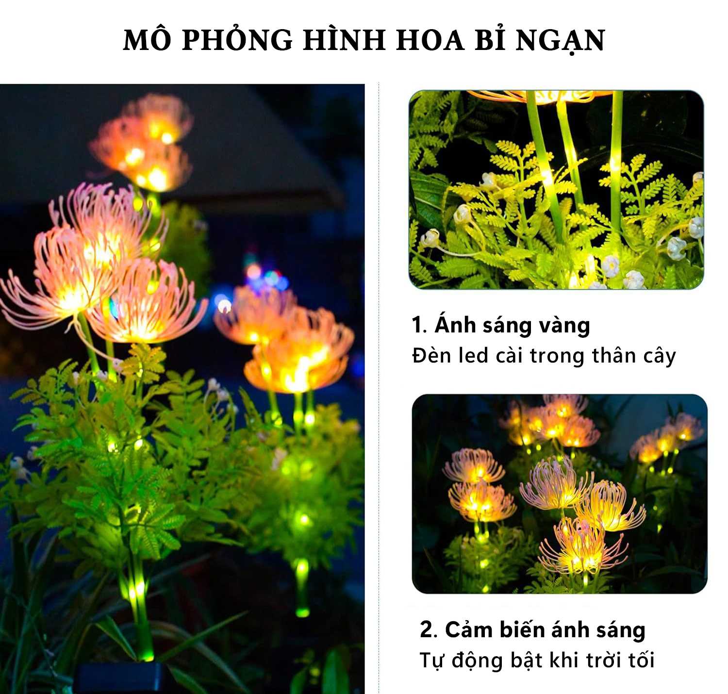 Đèn Trang Trí Năng Lượng Mặt Trời Hình Hoa Bỉ Ngạn, Sử Dụng Liên Tục 8-12 tiếng - DA3022