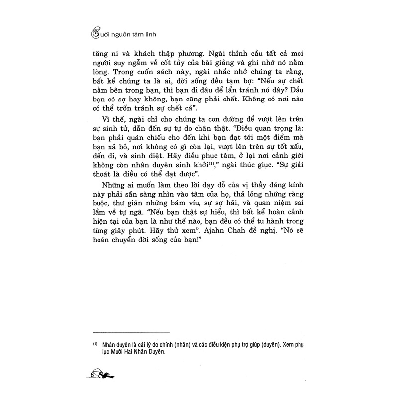 Suối Nguồn Tâm Linh - VLG