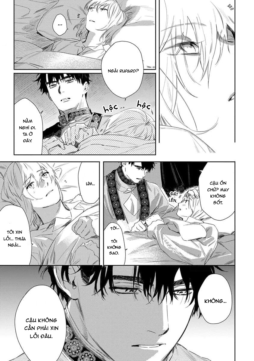 tình yêu hoa hồng dại chapter 4 27