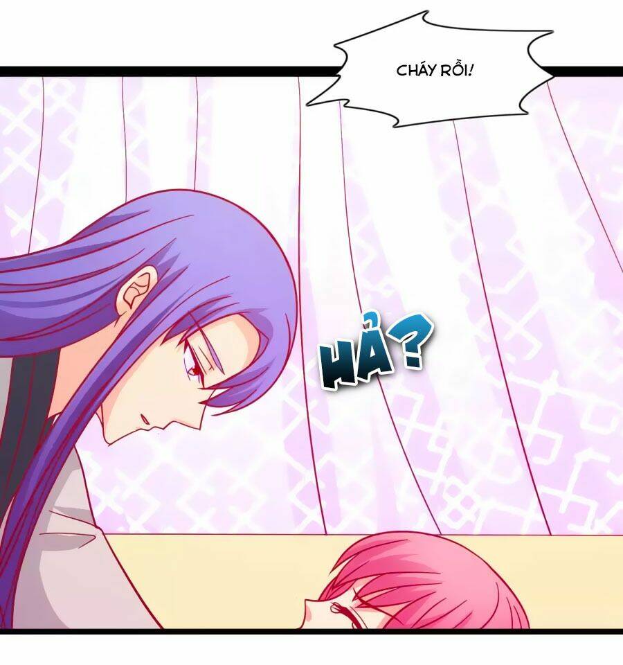 thỏ yêu tiểu vương phi chapter 53 8