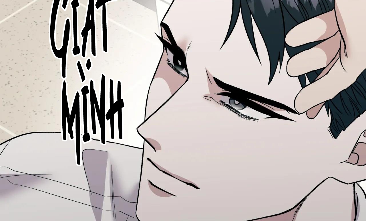 ám ảnh pheromone chapter 30 61