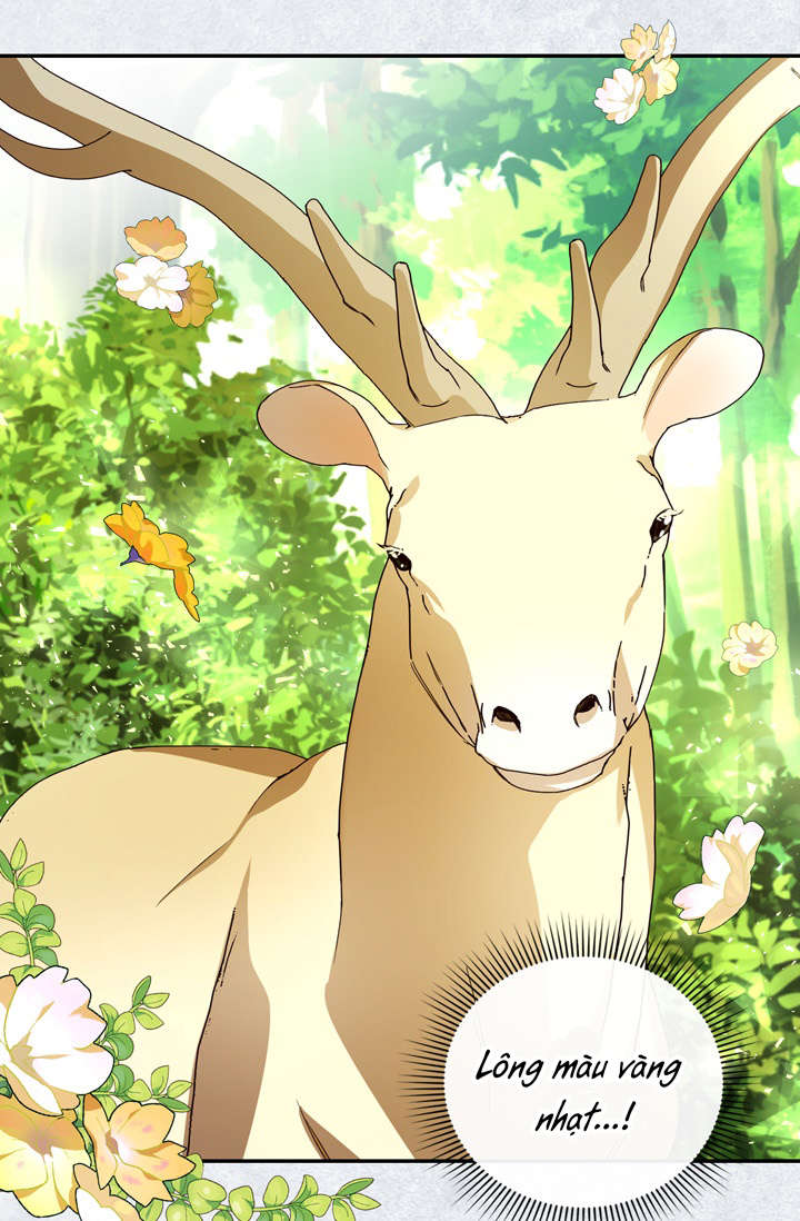 cách che giấu đứa con của hoàng đế chapter 8 45