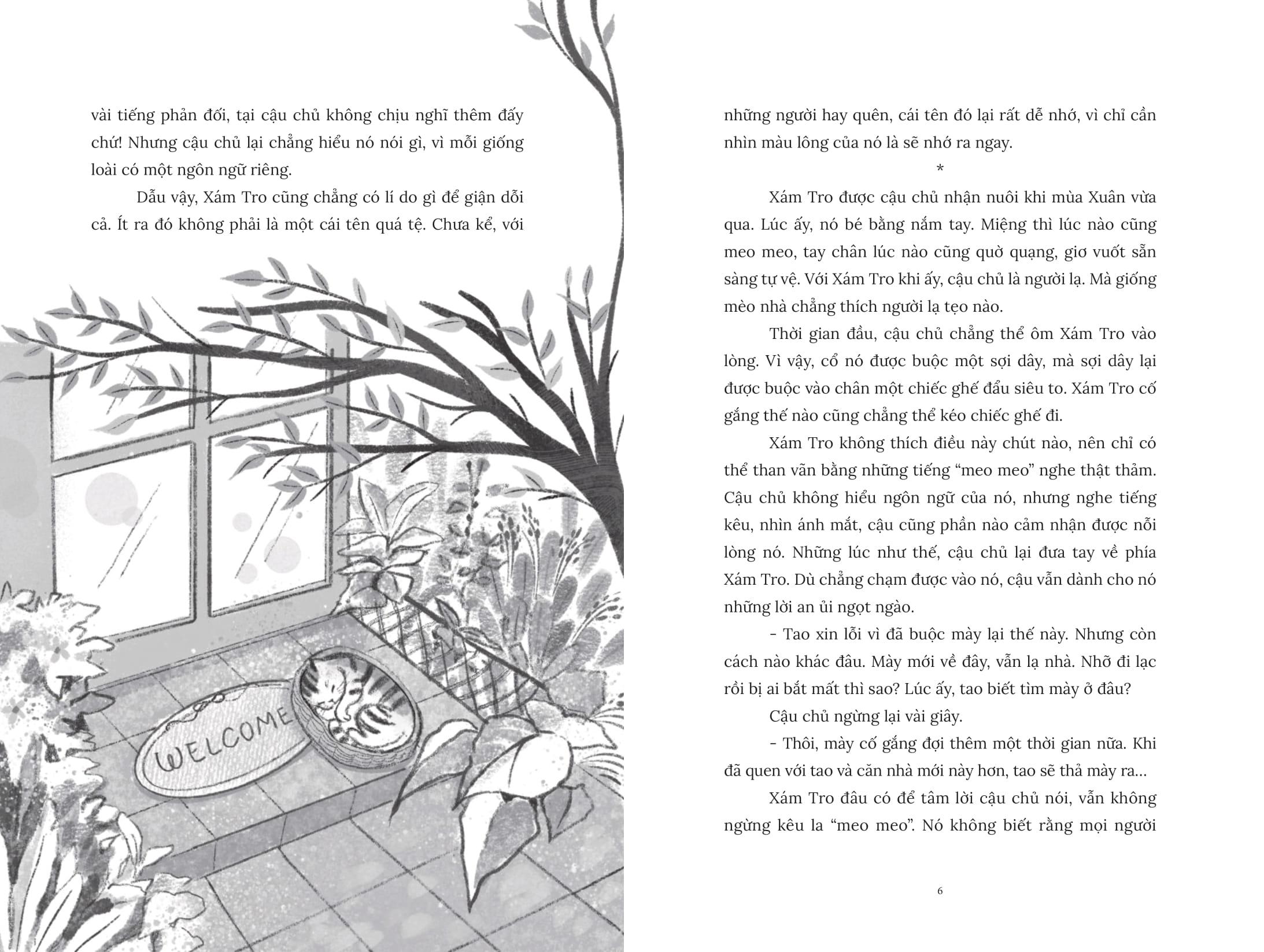 Sách - Chú Mèo Tắm Nắng Bên Hiên