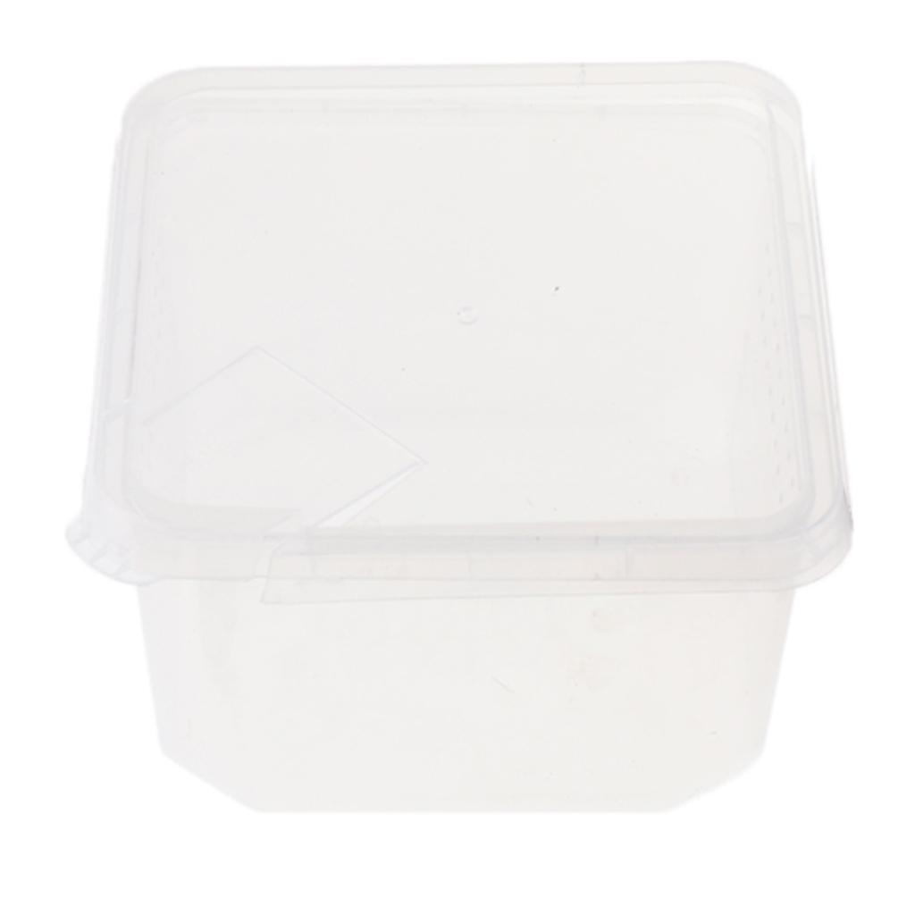 Plastic Insect Spider Habitat Feeding Box Cage Container REUSABLE 12x12x7cm