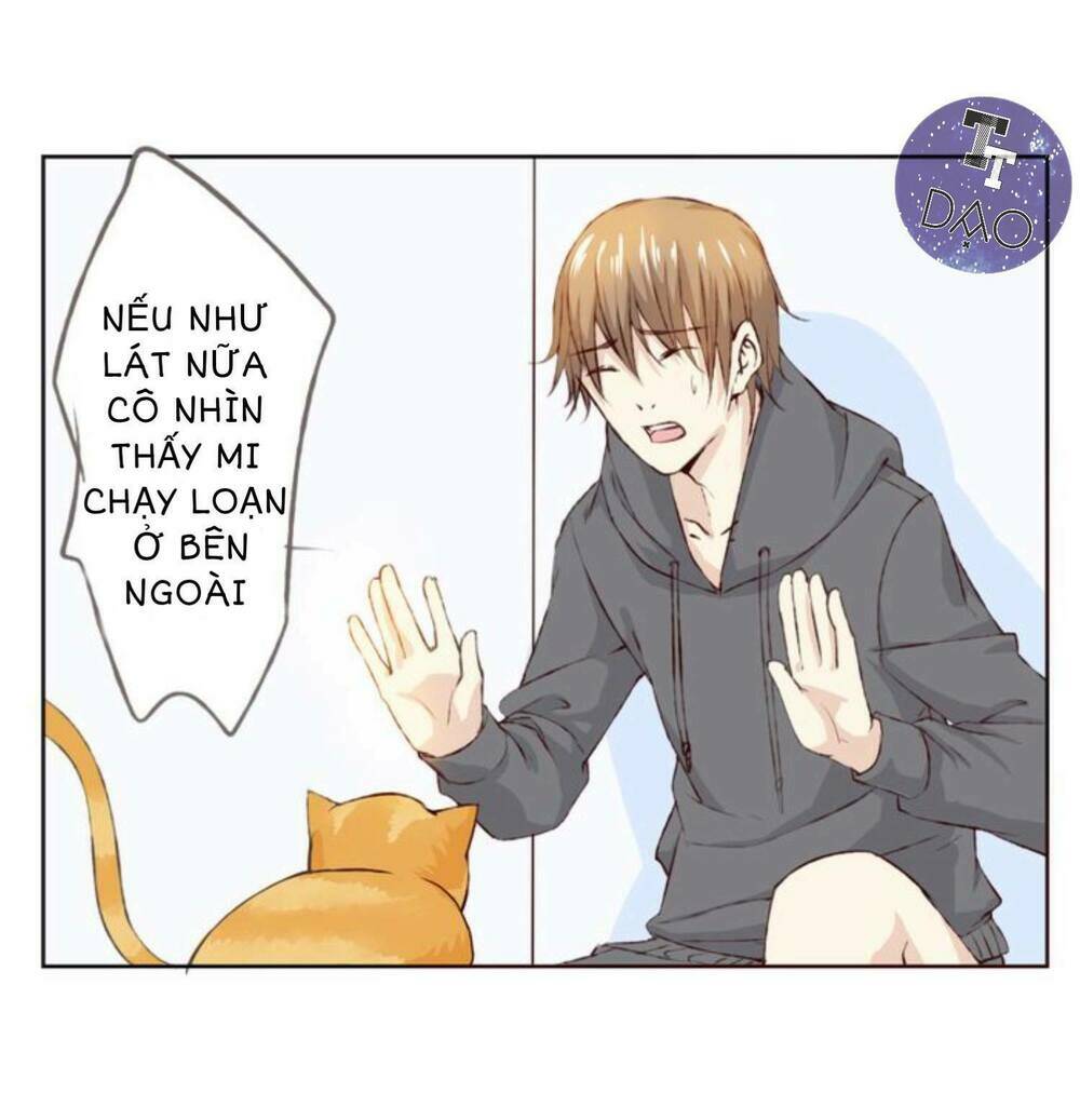 tôi không phải đa nhân cách chapter 11 39