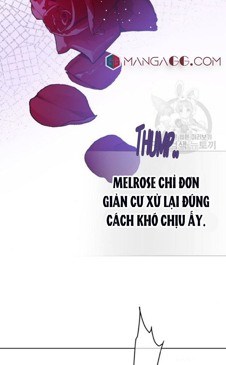 cách hiệp sĩ sống như một tiểu thư chapter 59 4