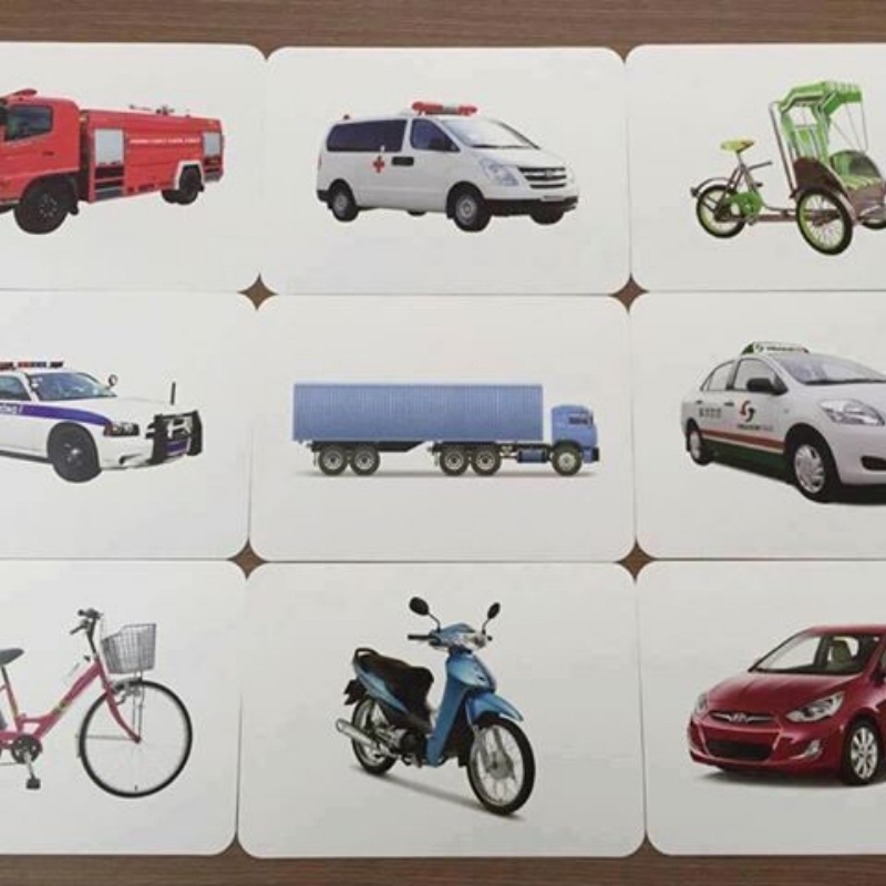 Thẻ Flashcard Glenn Doman Cho Bé - Bộ 300 Thẻ Thế Giới Xung Quanh