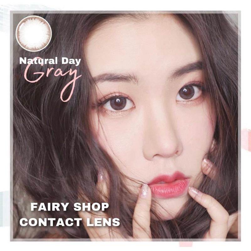 Kính Áp Tròng IXA GRAY 14.0 mm - Kính Áp Tròng FAIRY SHOP CONTACT LENS