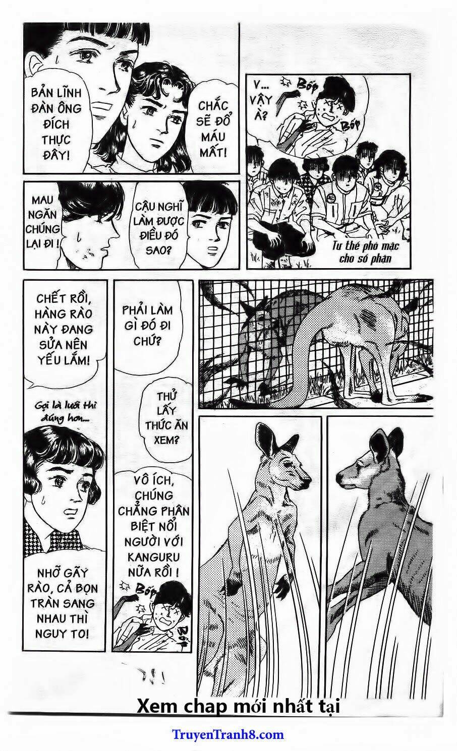 doubutsu no oishasan chapter 116 17