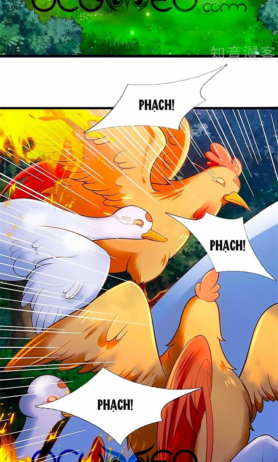 bỗng một ngày trở thành con gái nhà vua chapter 242 31