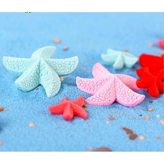 Mô hình sao biển size trung 4 x 4cm thích hợp trang trí tiểu cảnh, studio, nhà búp bê, DIY