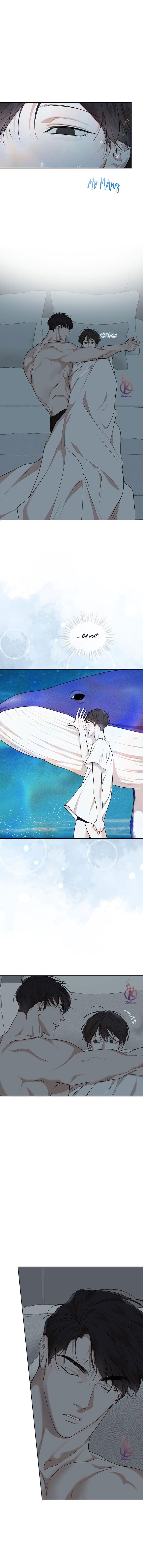 hình thái khởi sinh chapter 76 12