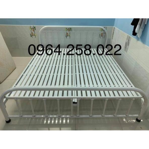 Giường bi trắng HCM.