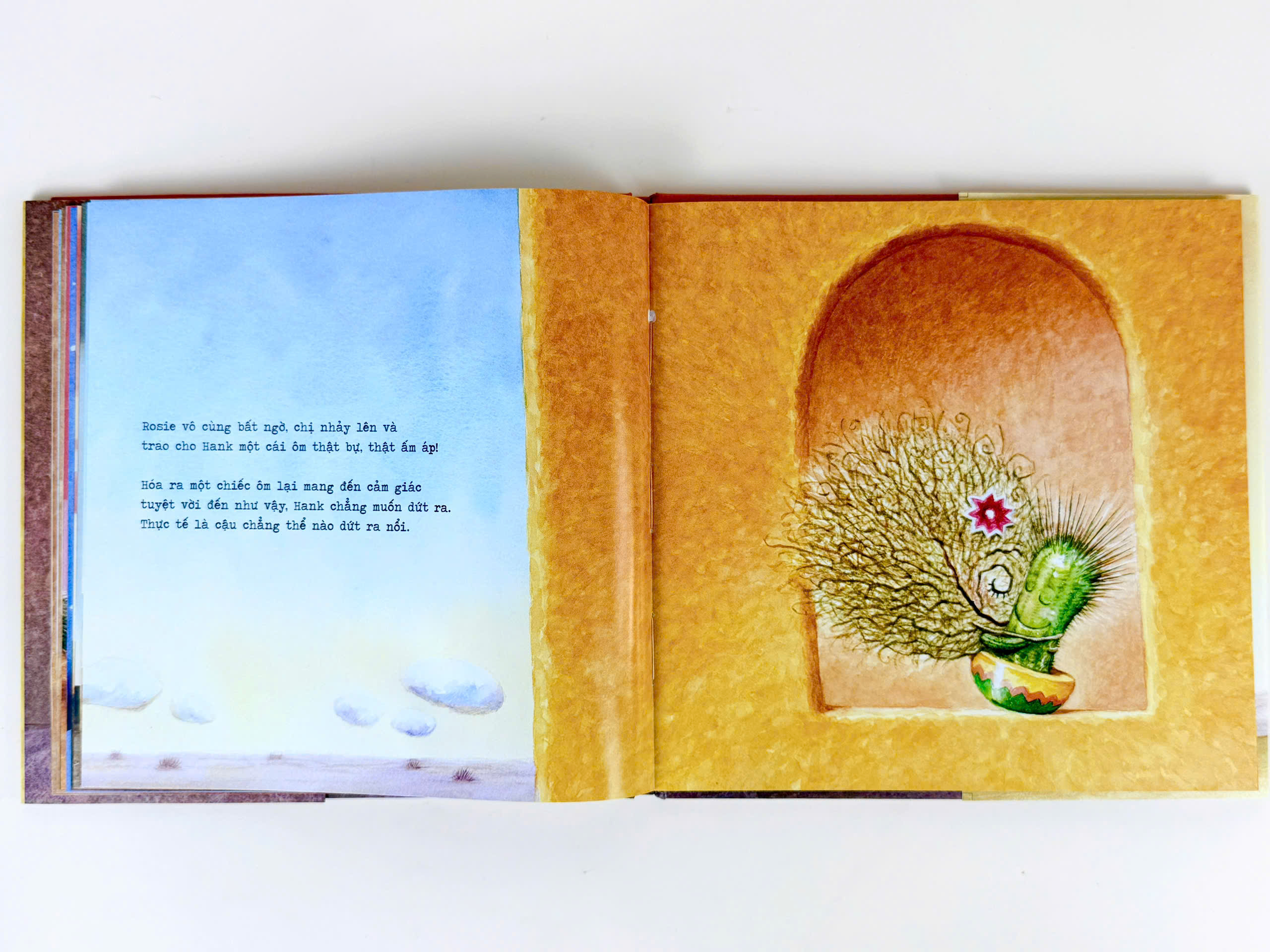 Sách - Xương rồng cũng cần lắm một cái ôm (truyện cho bé từ 3 tuổi+) - Bìa cứng