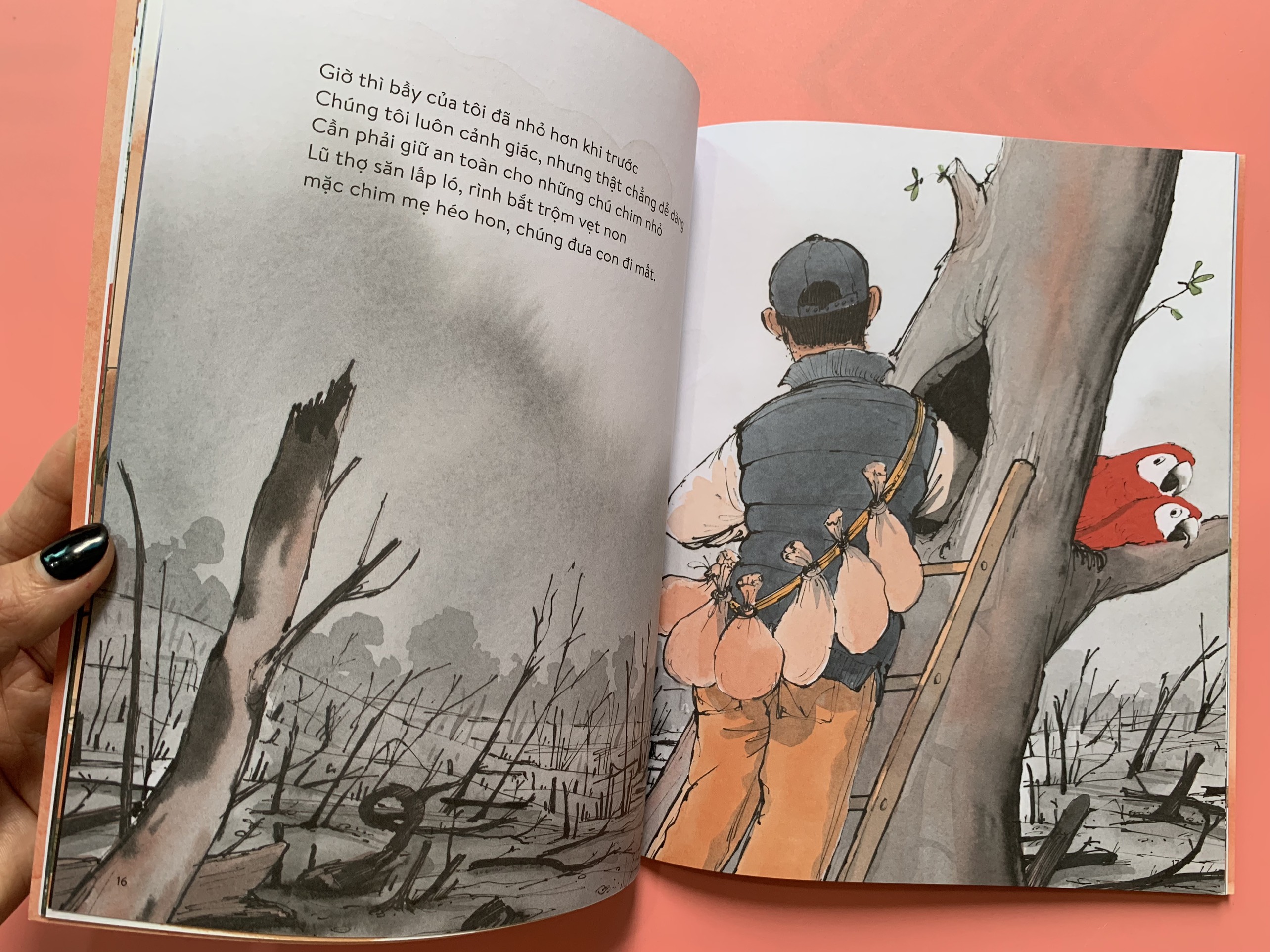 VẸT ĐUÔI DÀI ĐÃ TRÔNG THẤY GÌ – Charlotte Guillain - Sam Usher - Hà Hương Giang dịch