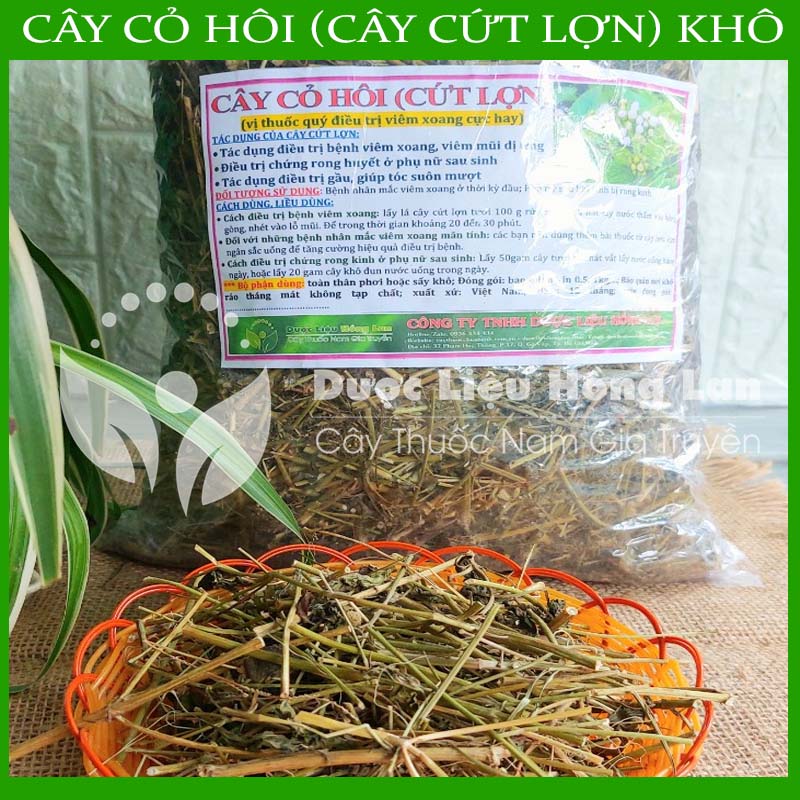 Cây Cỏ Hôi khô 500gram