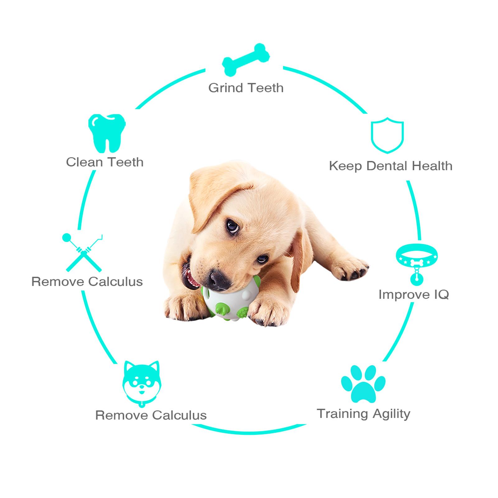 Đồ chơi cho thú cưng