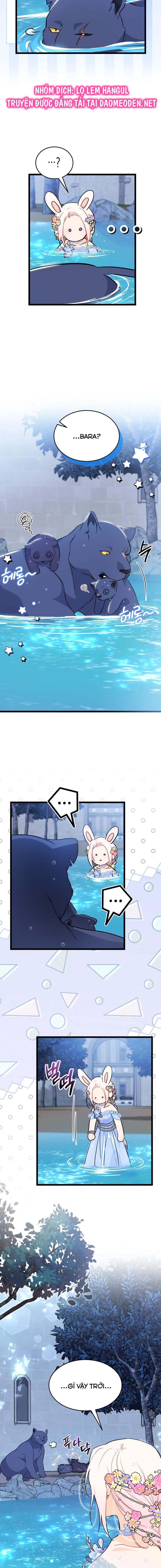 mối liên kết giữa báo đen và bé thỏ chapter 148 13