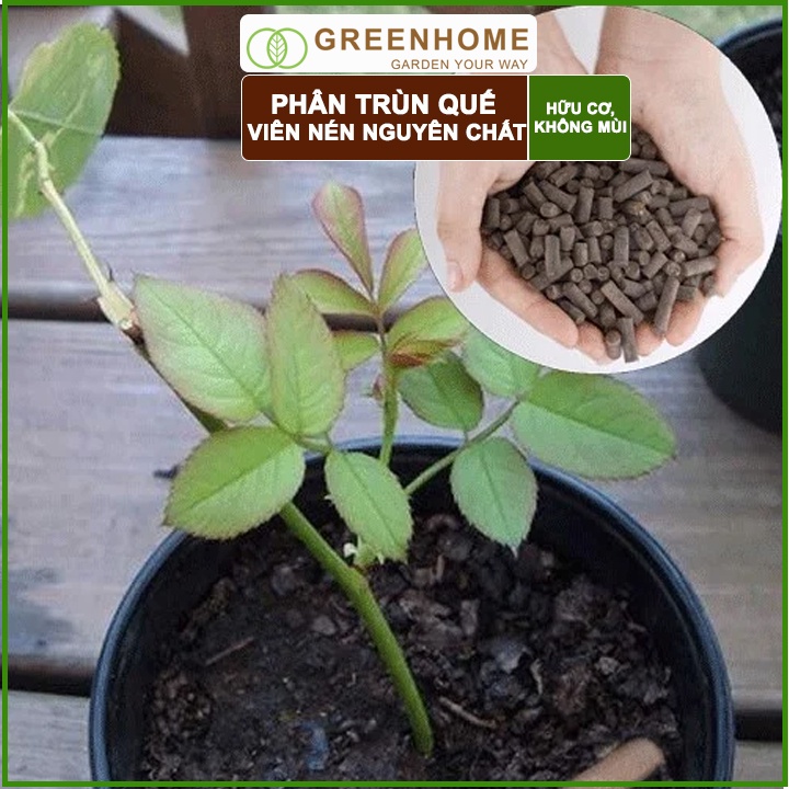 Phân Trùn Quế Viên Nén Greenhome, Lavamix, Bao 1kg, Dinh Dưỡng Hữu Cơ, Không Mùi, Tốt Cho Lan, Bonsai, Rau, Cây Ăn Trái