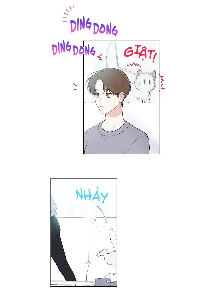 invitation of mystic messenger chapter 16 4