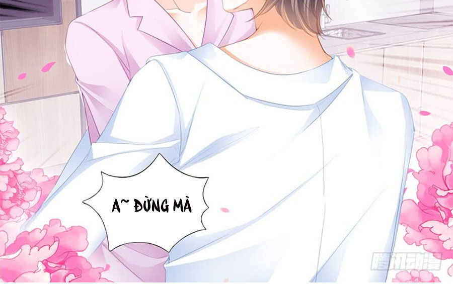 lóe thiểm hôn kiều thê mơ tưởng trốn chapter 223 12