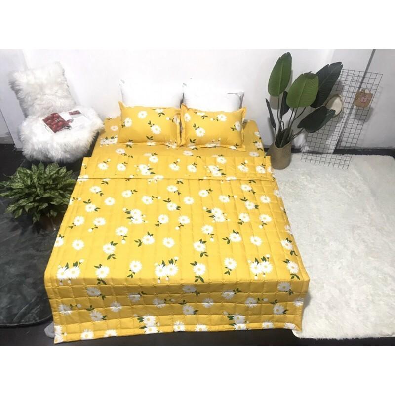 Bộ ga gối chăn trần hè cotton poly 1m6x2m