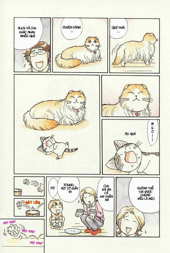 chi's sweet home chapter 75 8