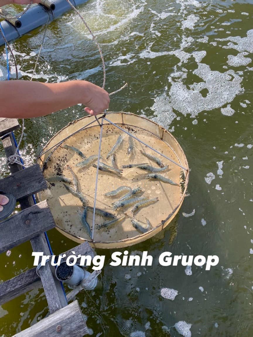 Bộ Đôi Tăng sức đề kháng, chống stress cho tôm