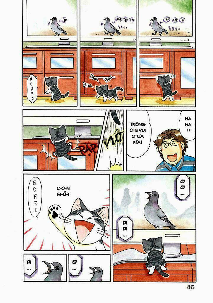 chi's sweet home chapter 116 4