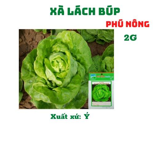 Hạt giống rau xà lách hữu cơ Phú Nông Lettuce PN-978, gói 5g biogreen