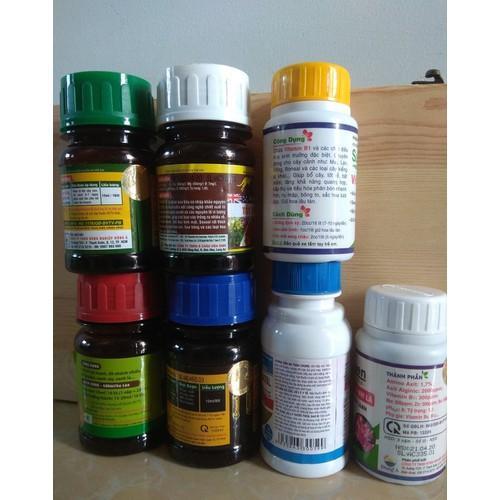 COMBO 7 loại chăm sóc dưỡng cây sau khi ra hoa - chai 100ml