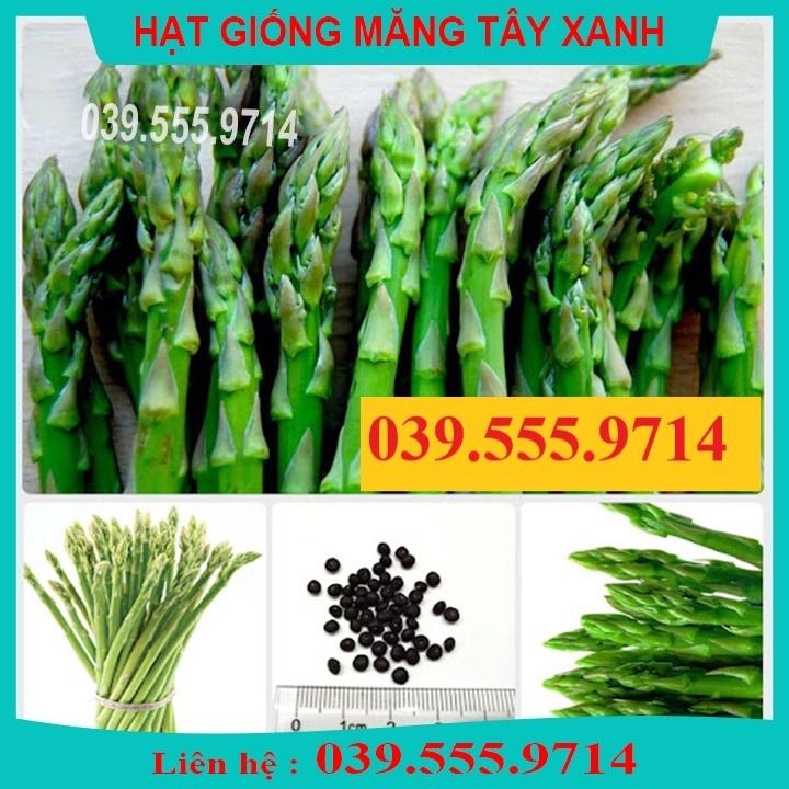 HẠT GIỐNG MĂNG TÂY XANH 20 HẠT - NĂNG SUẤT CAO