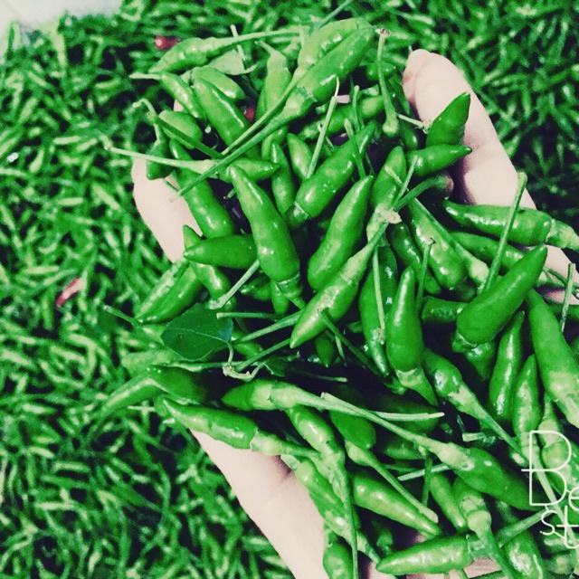 Hạt Giống Ớt Xiêm Thái Lan CT327 - Gói 0.1gram