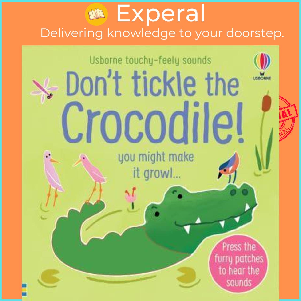 Sách - Don't Tickle the Crocodile! - Usbor by Sam Taplin (author),Ana Martín Larrañaga (artist) (UK edition, Board Book)