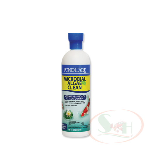 Xử lý tảo API Microbial Algae Clean vi sinh phân hủy mùn bã cặn nước xanh bể cá tép