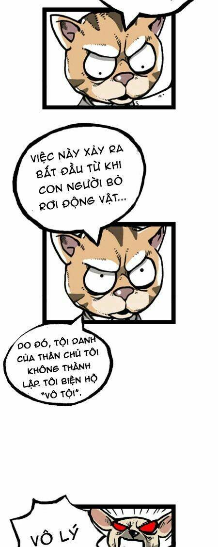 earth, human, and animal chapter 22 28