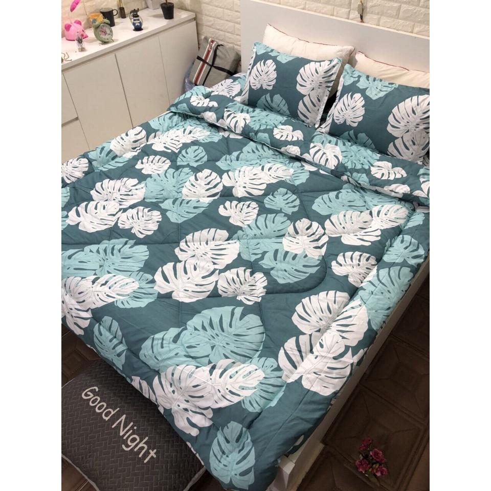 Set phao 5 món siêu rẻ