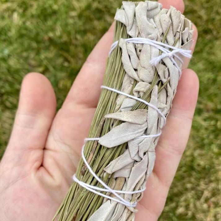 Xô thơm Lá Thông Kích Thích Sáng Tạo, Kết Nối Cộng Đồng & Thu Hút Của Cải l XÔ THƠM THANH TẨY