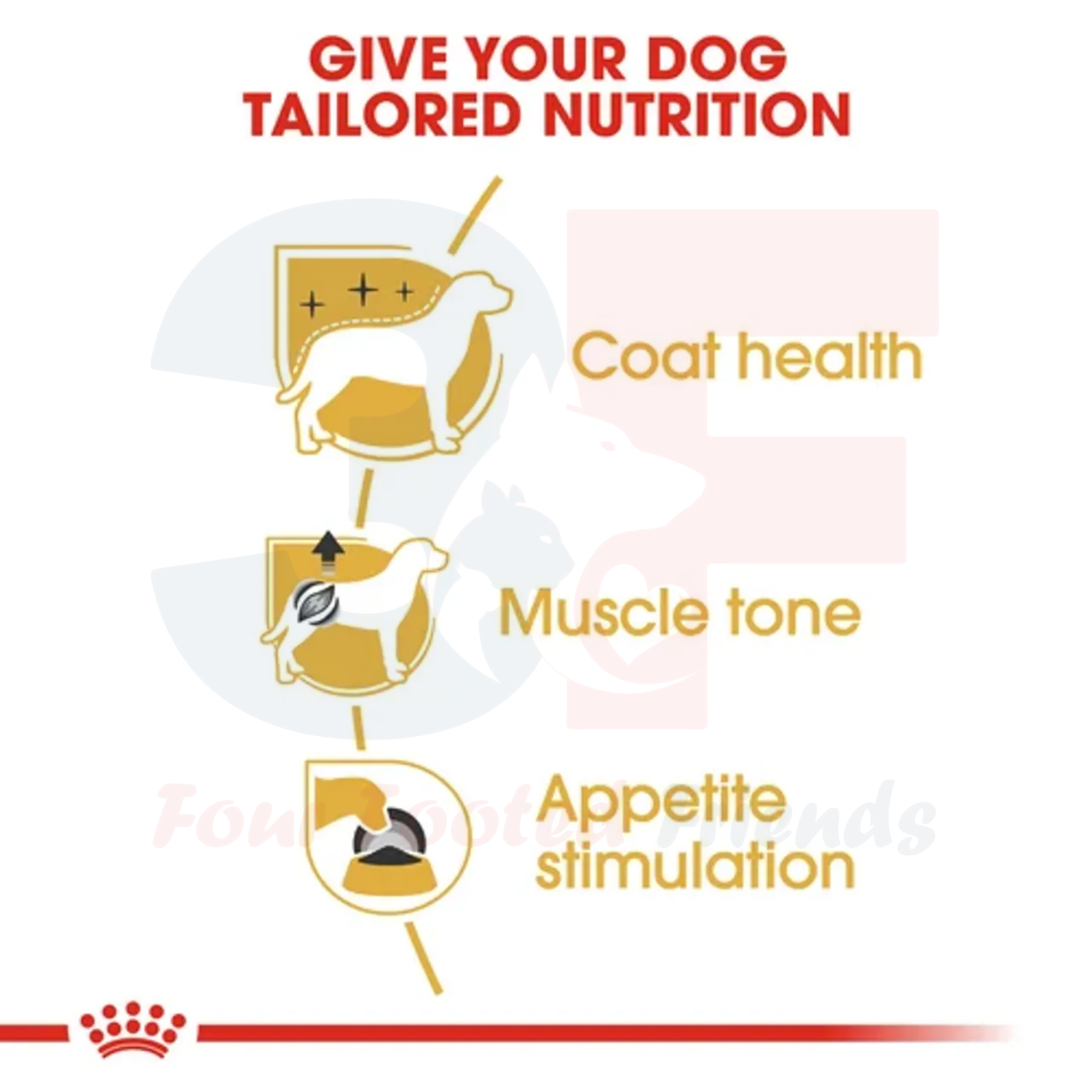 Pate Thức Ăn Ướt Xay Nhuyễn Dành Cho Chó Poodle Trưởng Thành Royal Canin Poodle Wet