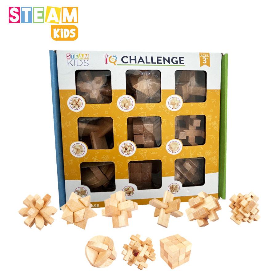 Đồ Chơi CHAMPION GAME Trò Chơi Thử Thách Trí Tuệ Khóa Gỗ SK0969