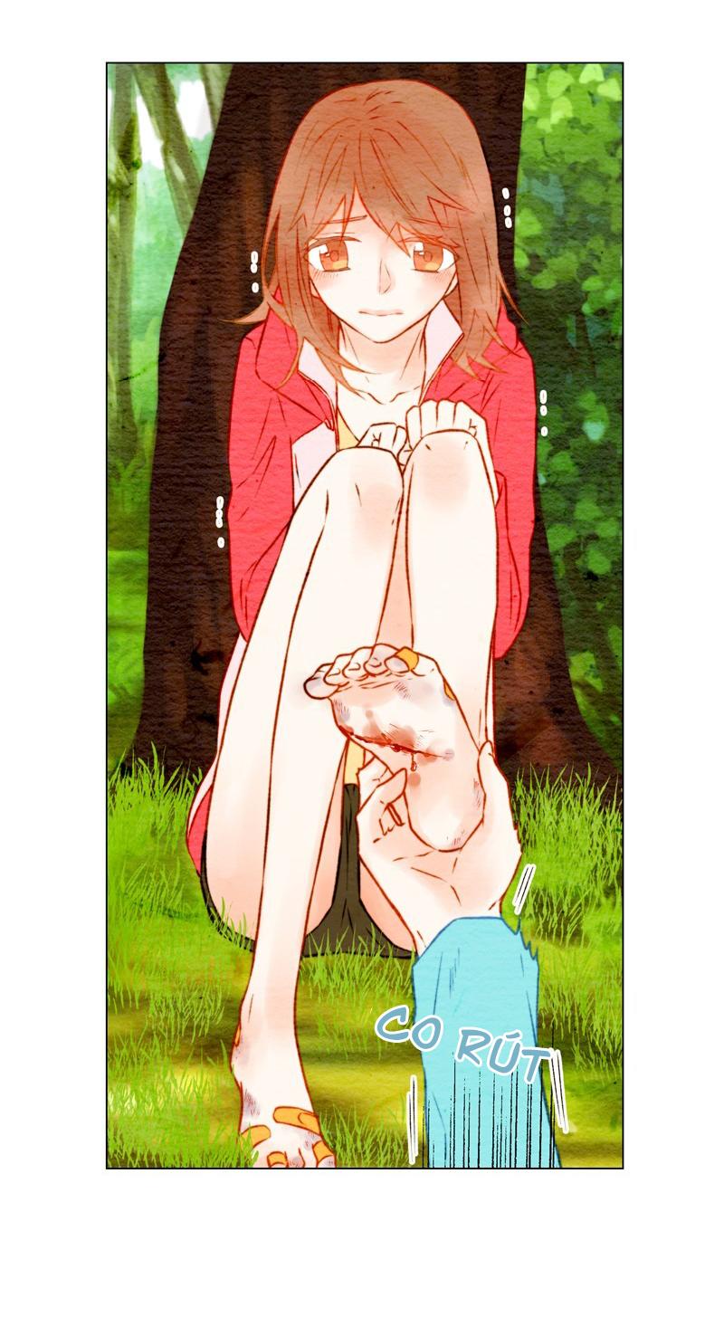 sao chép chapter 13 20