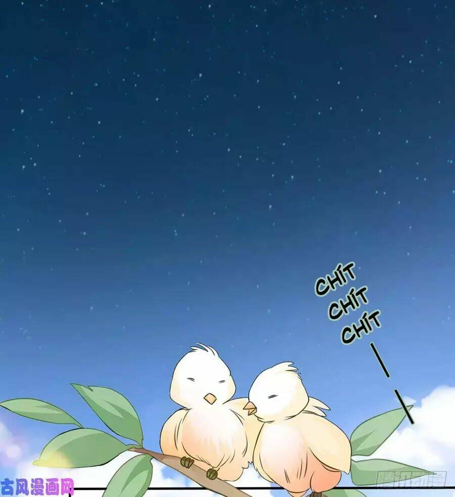 hoàng tử phu quân, ta nuôi ngươi a! chapter 2 39