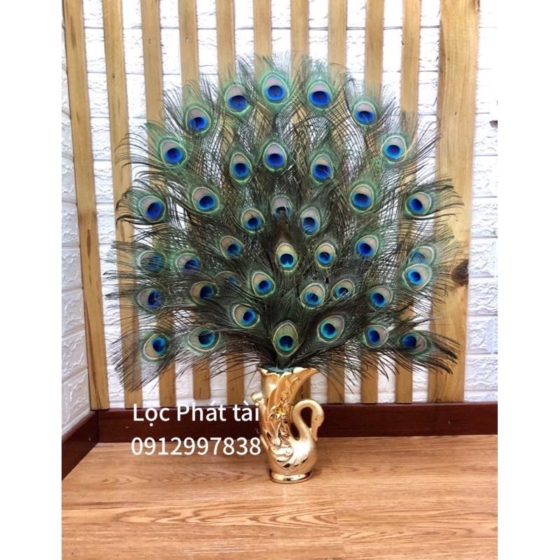 Lông công dài 25-110cm mắt đẹp size vừa, tự nhiên 100% phong thủy tài lộc