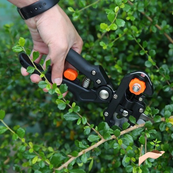 Kéo ghép cành cây thép carbon kèm 3 mối ghép U V Ω + Tặng 5 móc treo dán tường chịu lực 10kg cao cấp