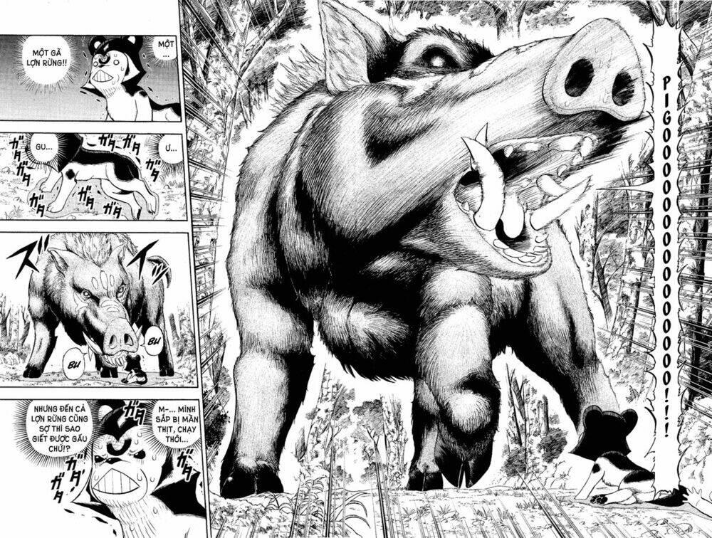 doubutsu no kuni chapter 6 27